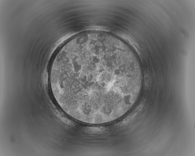 X0000111141125200907281107