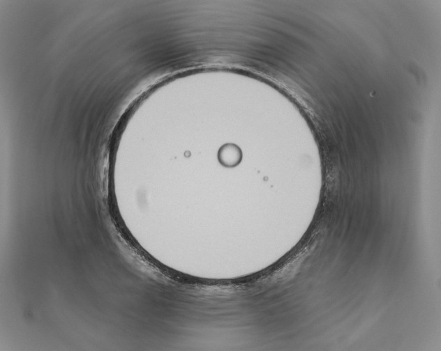 X0000111141126200907281107