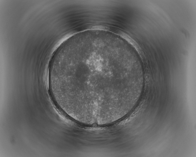 X0000111141127200907281107