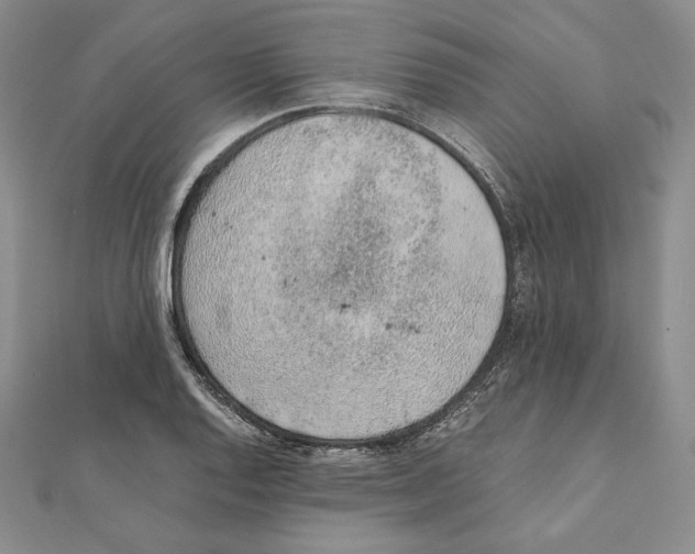 X0000111141128200907281107