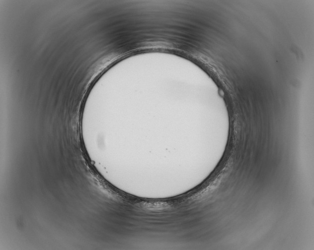 X0000111141129200907281107