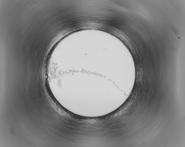 X0000111141130200907281107