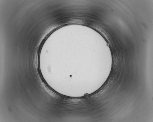 X0000111141131200907281107