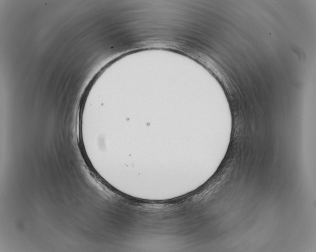 X0000111141132200907281107