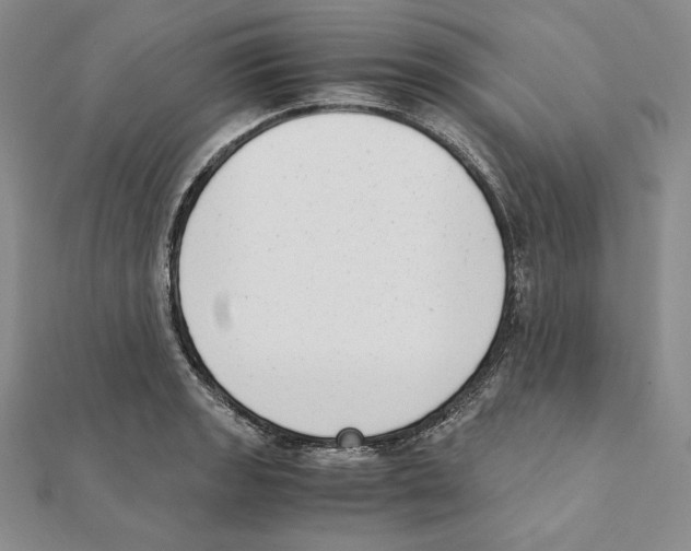 X0000111141133200907281107