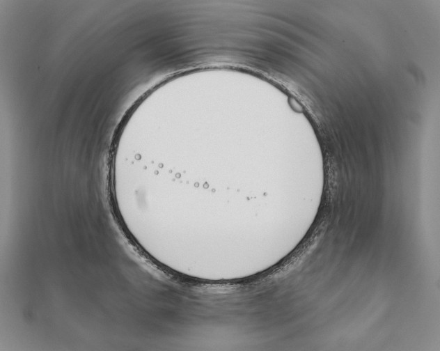 X0000111141134200907281107