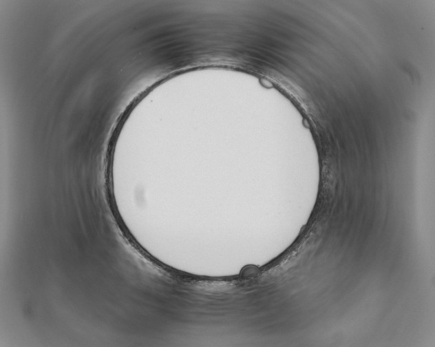 X0000111141135200907281107