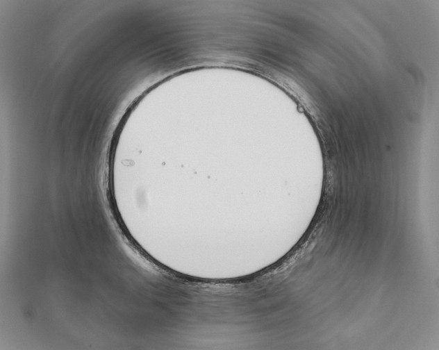 X0000111141136200907281107