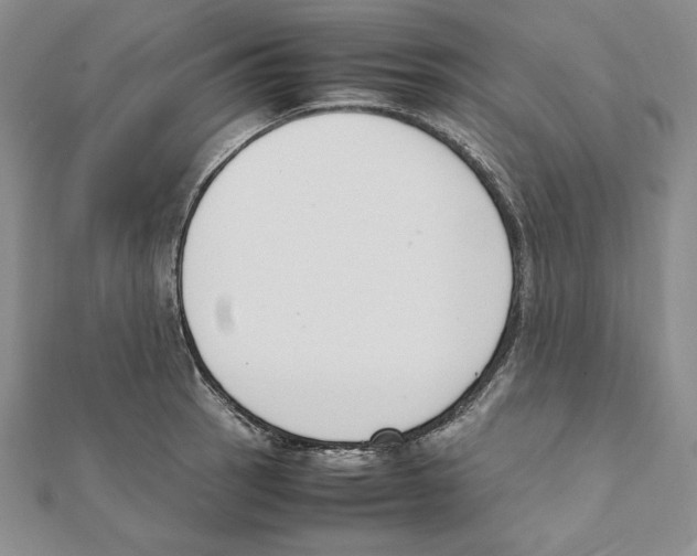 X0000111141137200907281107