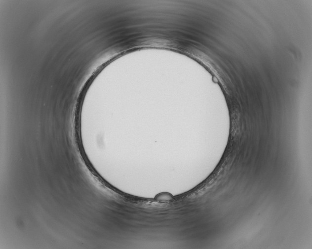 X0000111141139200907281107