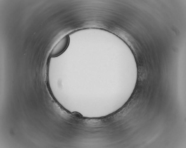 X0000111141140200907281107