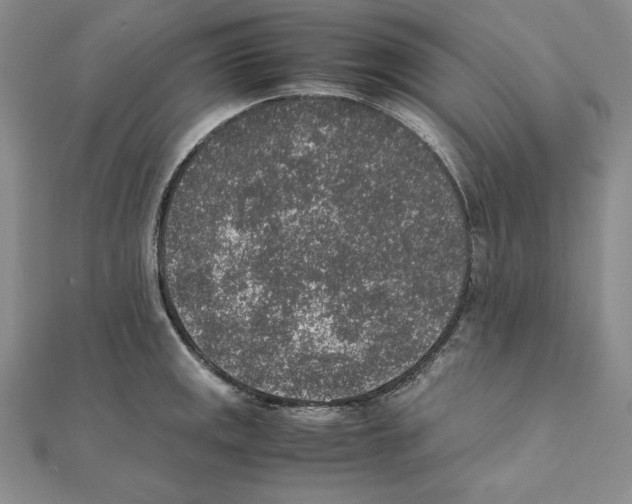 X0000111141141200907281107