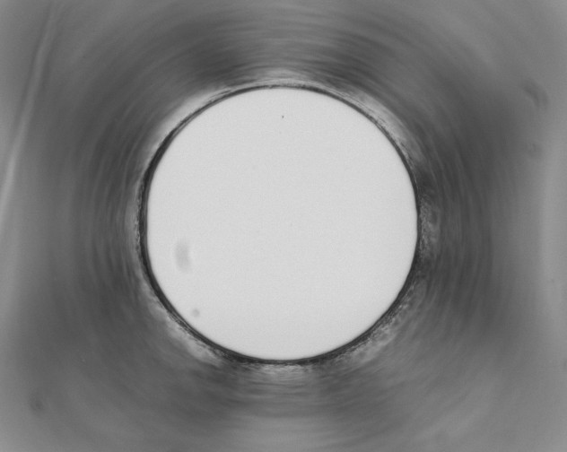 X0000111141142200907281107