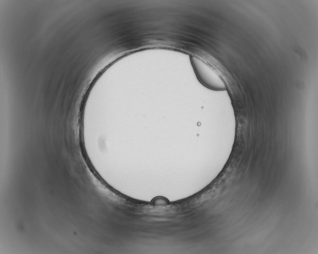 X0000111141143200907281107