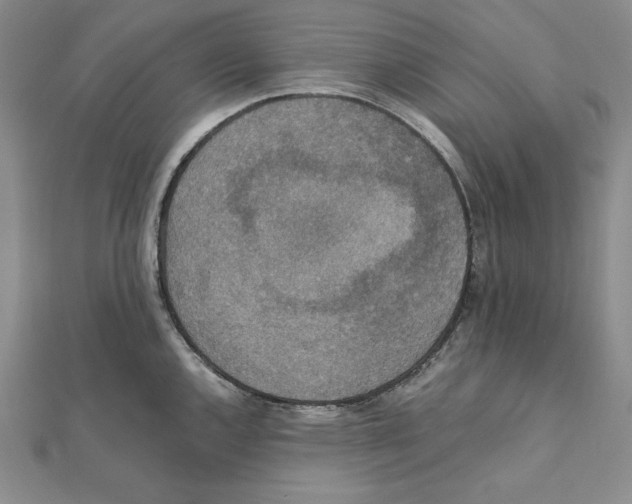 X0000111141144200907281107