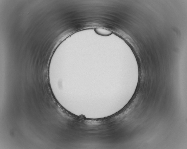 X0000111141145200907281107