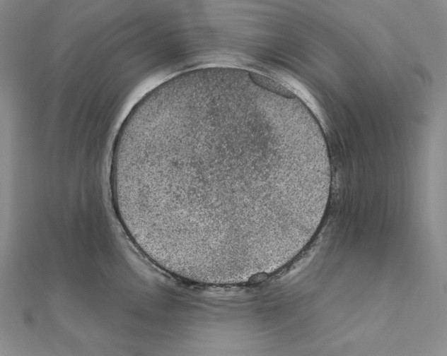 X0000111141146200907281107