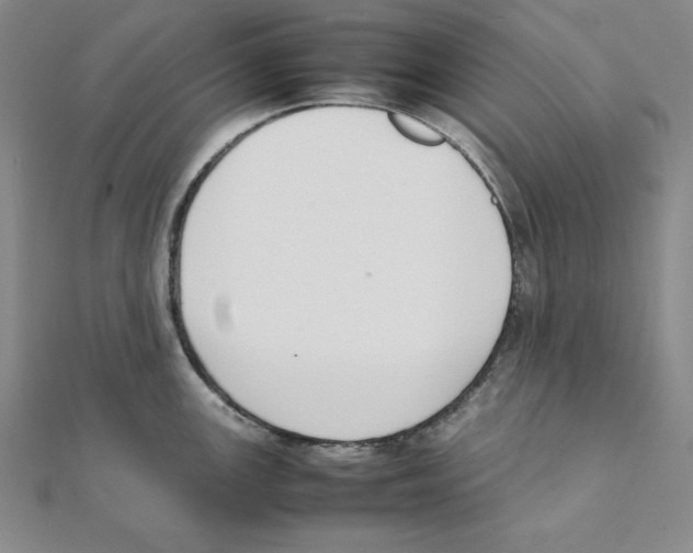 X0000111141147200907281107