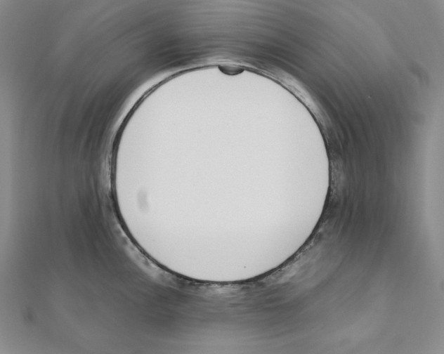 X0000111141148200907281107