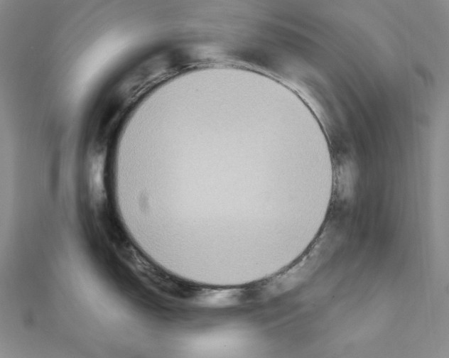 X0000111141150200907281107