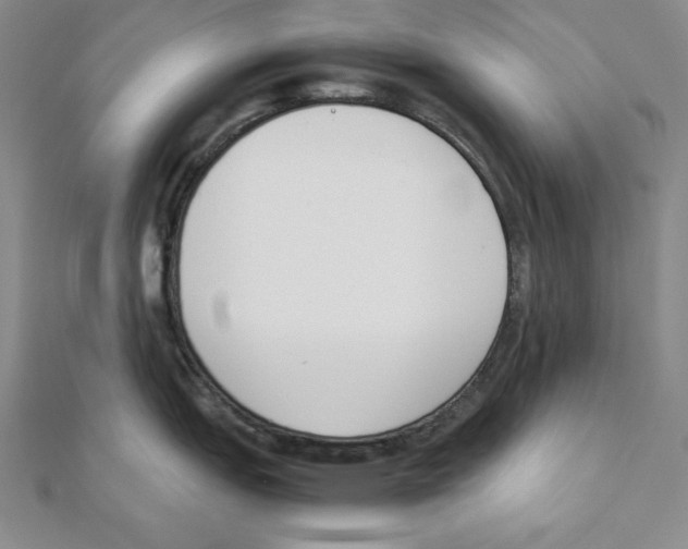 X0000111141151200907281107