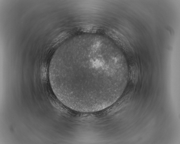 X0000111141154200907281106