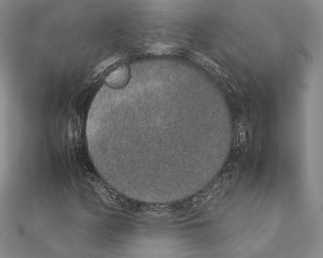 X0000111141158200907281106