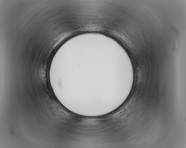 X0000111141162200907281106