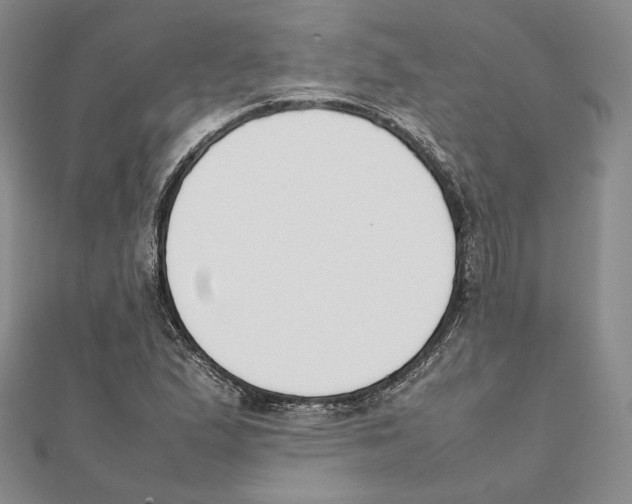 X0000111141167200907281106