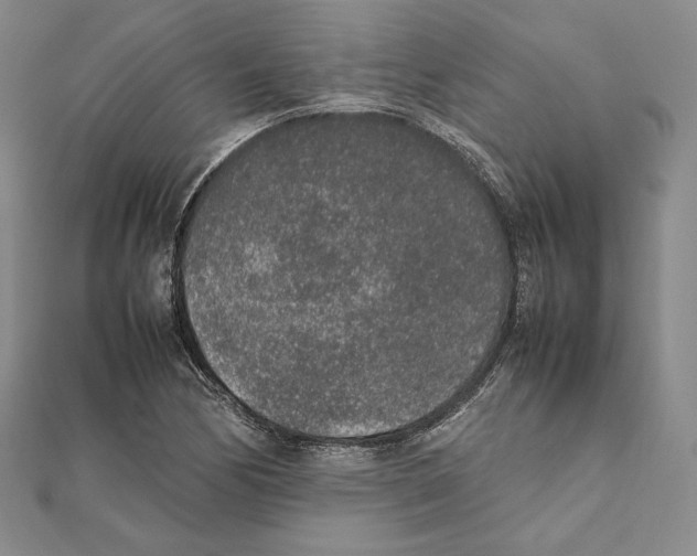 X0000111141170200907281106