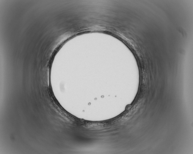 X0000111141171200907281106