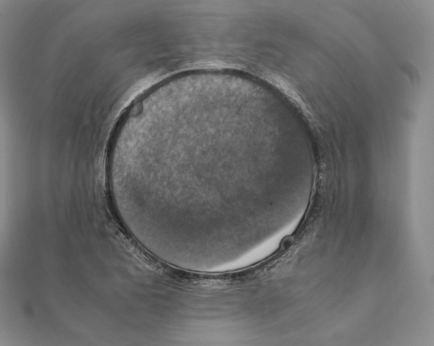 X0000111141173200907281106