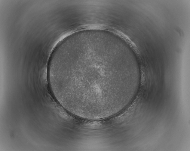 X0000111141174200907281106