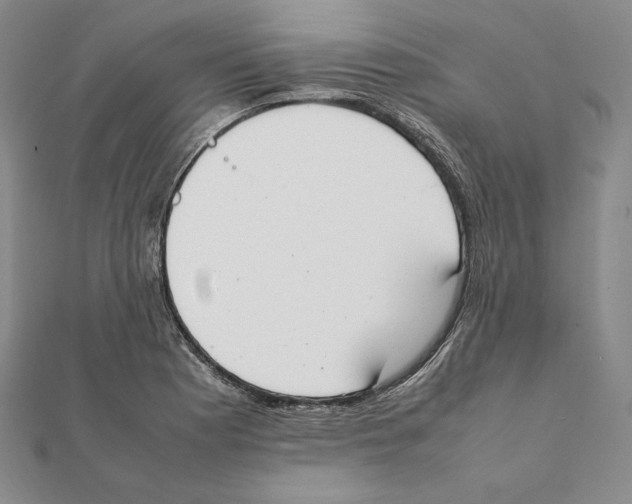 X0000111141177200907281106