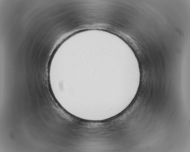 X0000111141184200907281106