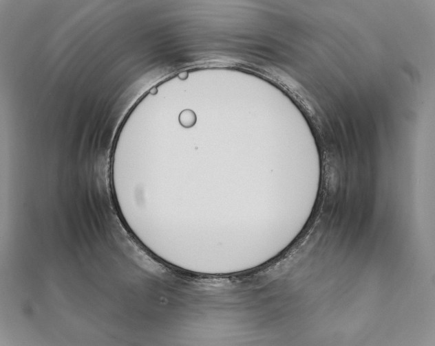 X0000111141186200907281106