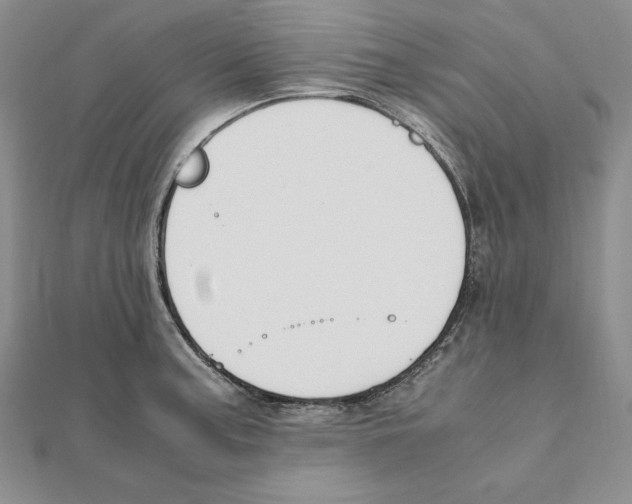 X0000111141187200907281106