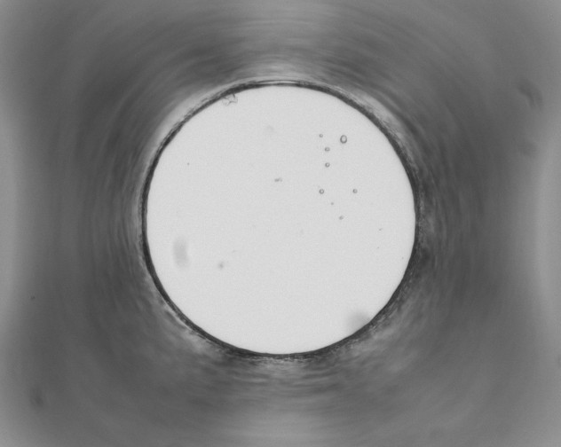 X0000111141191200907281106