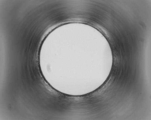 X0000111141192200907281106