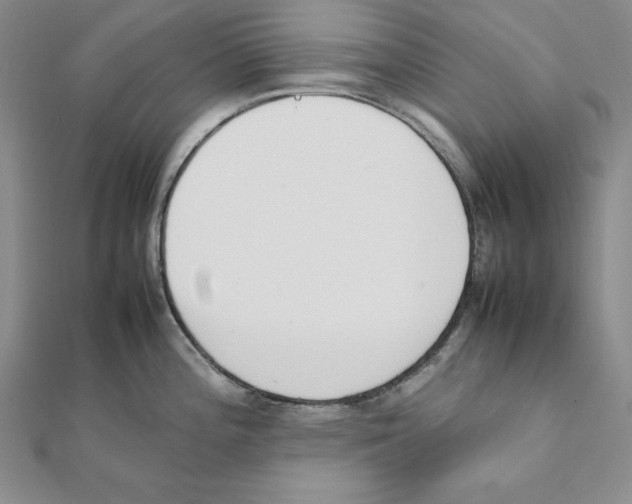 X0000111141196200907281106