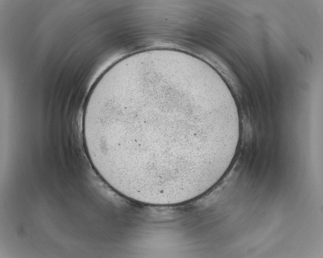 X0000111141198200907281106