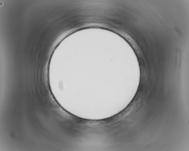 X0000111141199200907281106