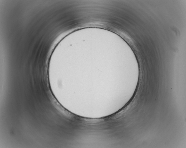 X0000111141200200907281106