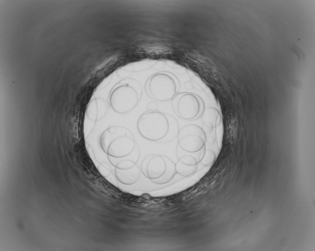 X0000111141205200907281105