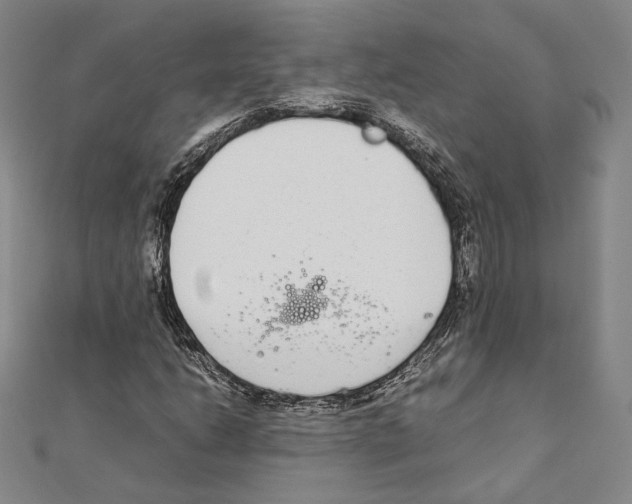 X0000111141206200907281105