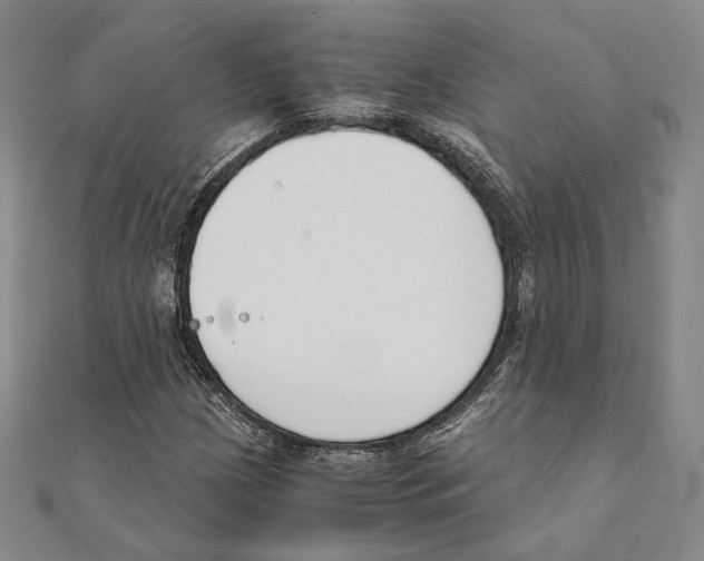 X0000111141209200907281105