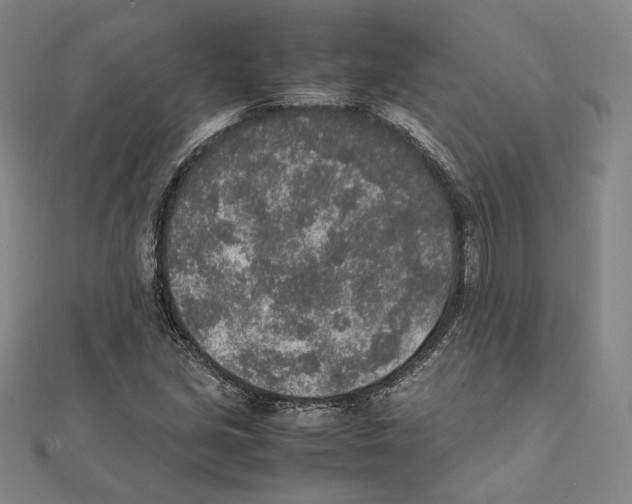 X0000111141213200907281105