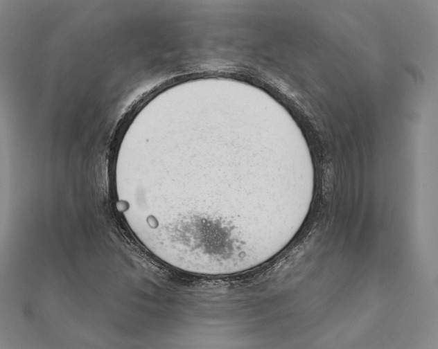 X0000111141214200907281105