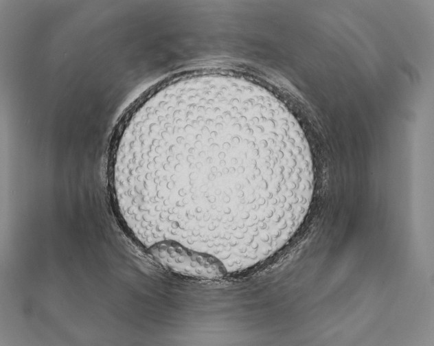 X0000111141216200907281105