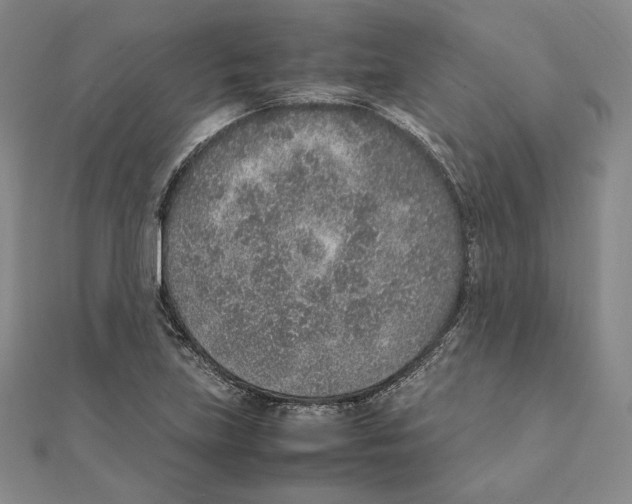 X0000111141219200907281105